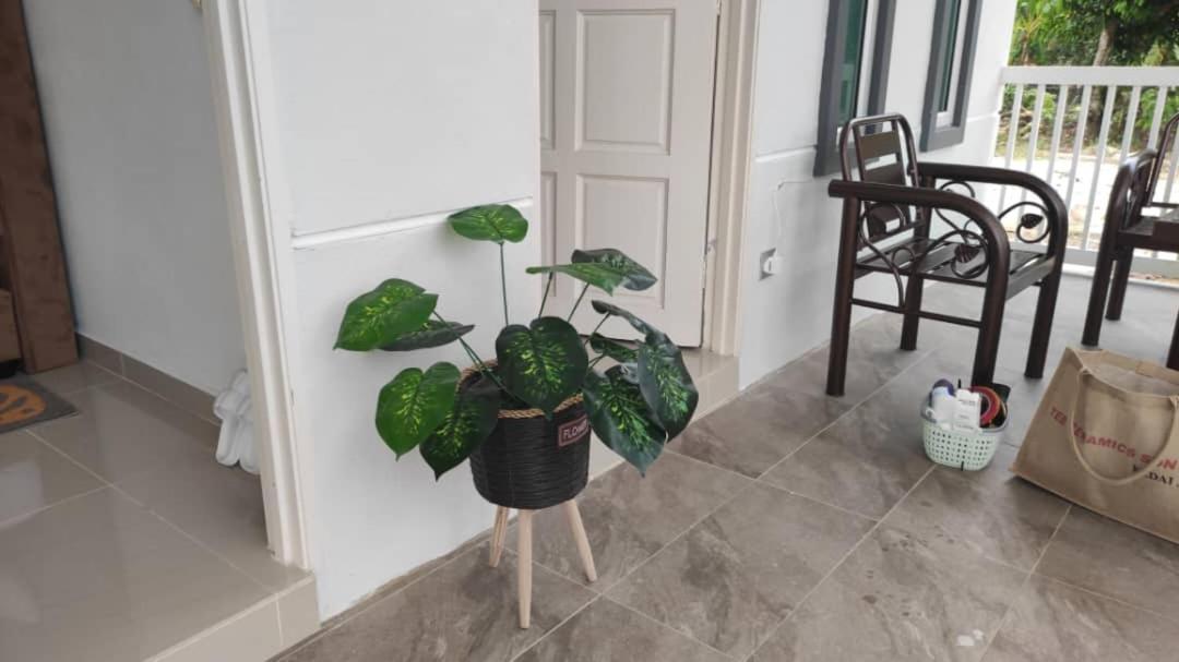 D'Lamar Homestay Pendang المظهر الخارجي الصورة